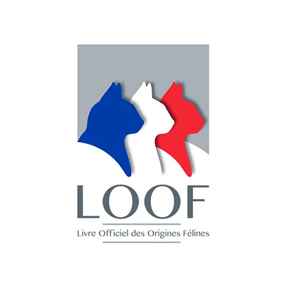 Logo LOOF: trois silhouettes de chats bleu, blanc, rouge devant un carré gris. Texte : LOOF, Livre Officiel des Origines Félines.